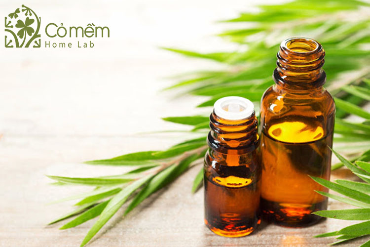tea-tree-oil