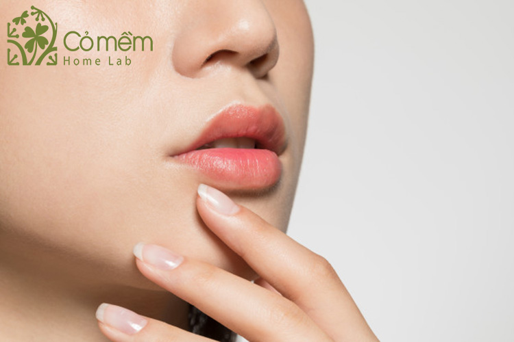 tri-sung-moi-tai-nha