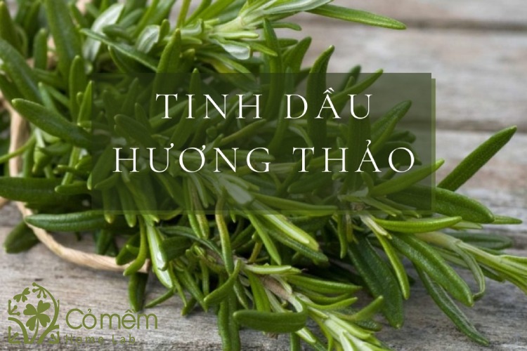 tinh-dau-huong-thao-la-gi