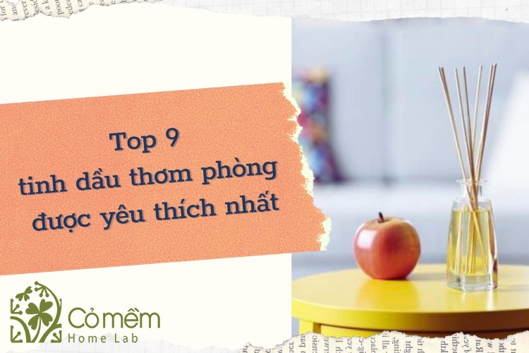 tinh dầu thơm phòng