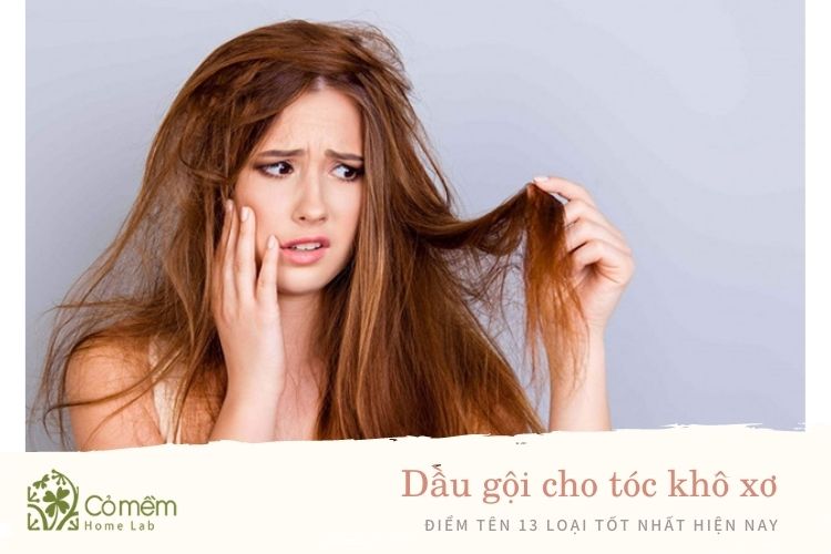 Top 6 dầu gội đầu cho tóc khô phục hồi tóc hư tổn hiệu quả