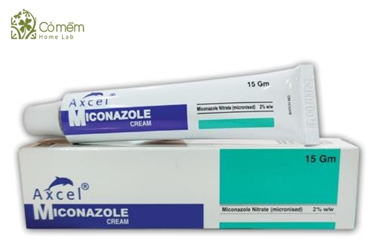 axcel-miconazole-tri-ngua-vung-kin