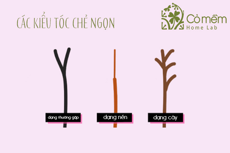 cac-kieu-toc-che-ngon