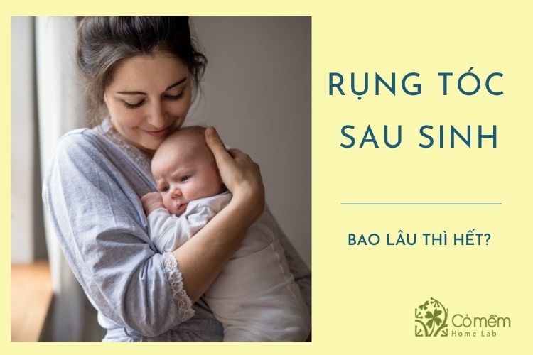 rung toc sau sinh bao lau thi het