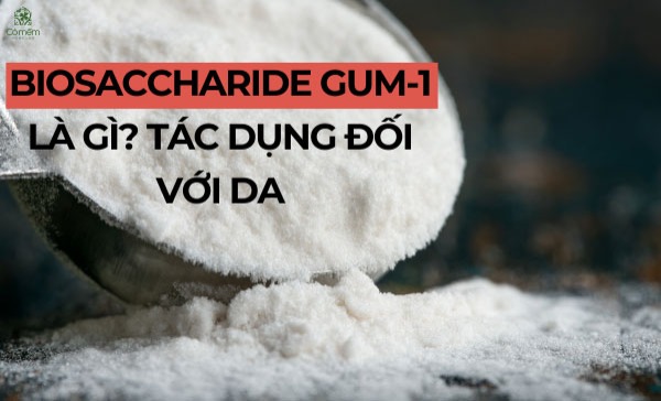 biosaccharide gum-1