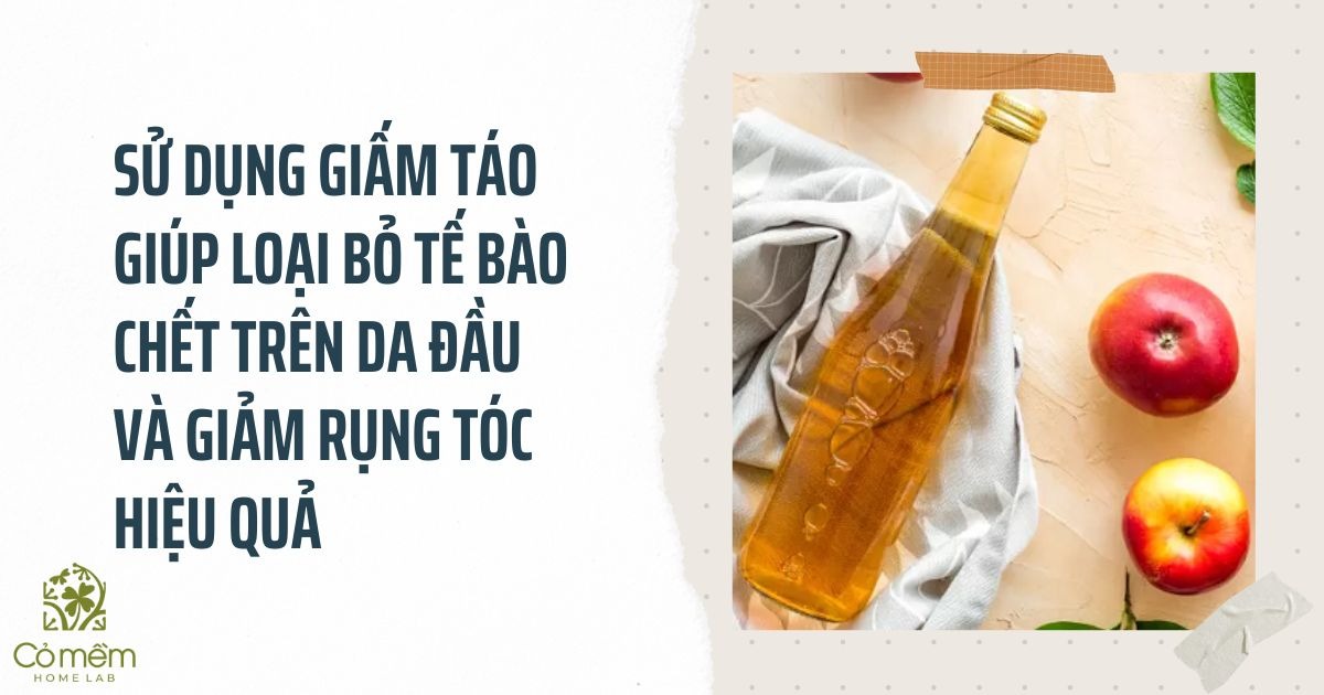 Da đầu nhờn rụng tóc