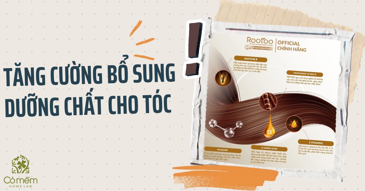 Da đầu nhờn rụng tóc