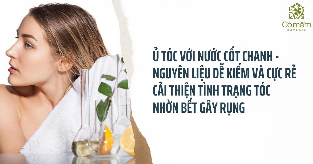 Da đầu nhờn rụng tóc