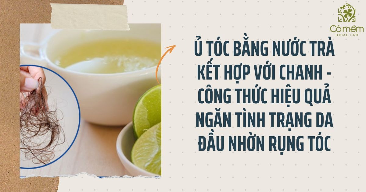 Da đầu nhờn rụng tóc