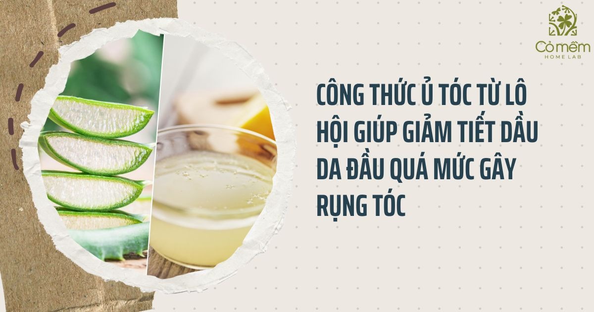 Da đầu nhờn rụng tóc