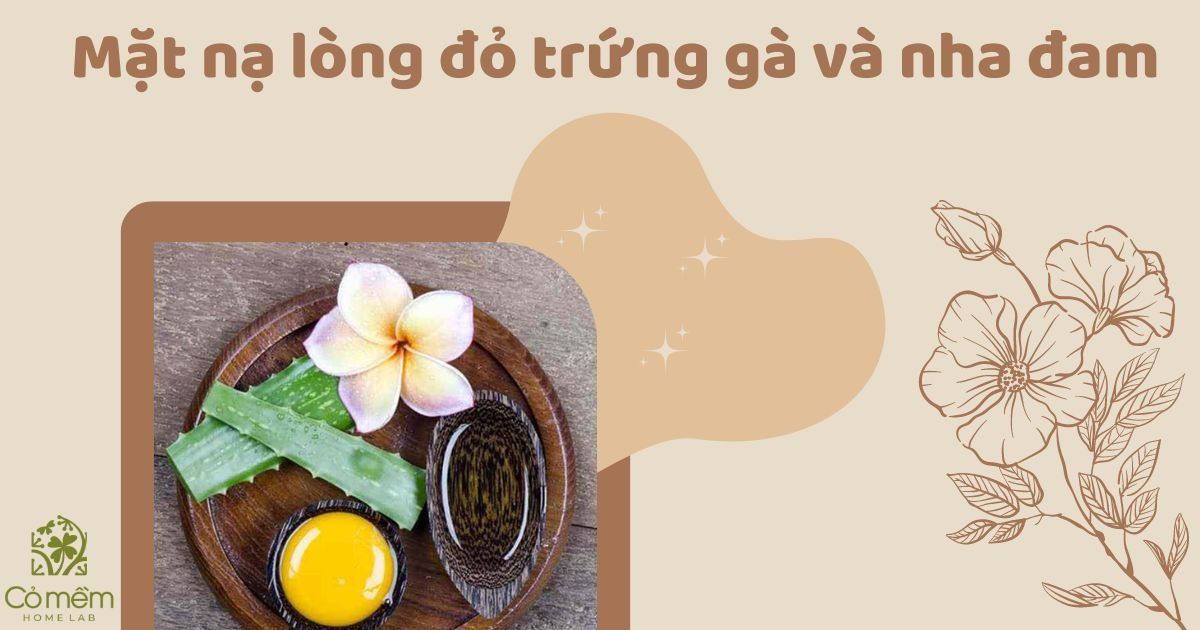 mặt nạ lòng đỏ trứng gà trị nám