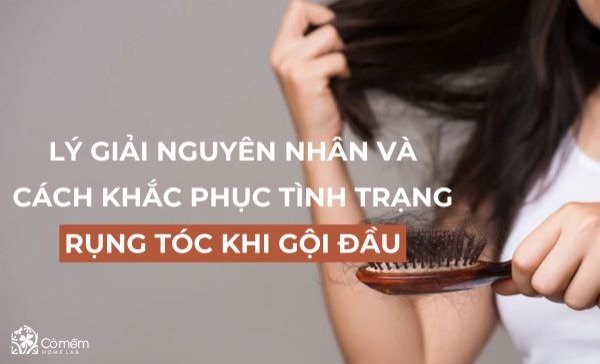 rụng tóc khi gội đầu 