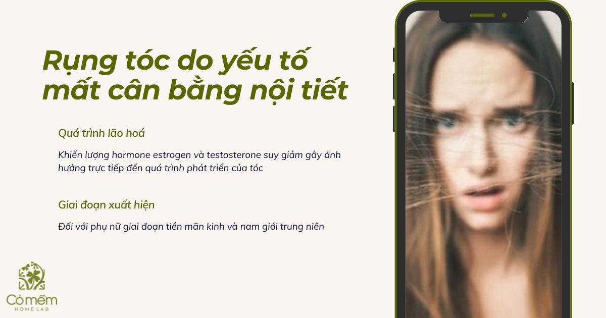 rụng tóc nên ăn gì 