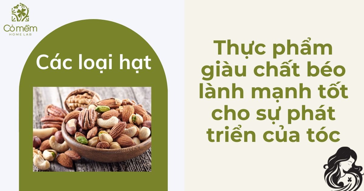 rụng tóc nên ăn gì 