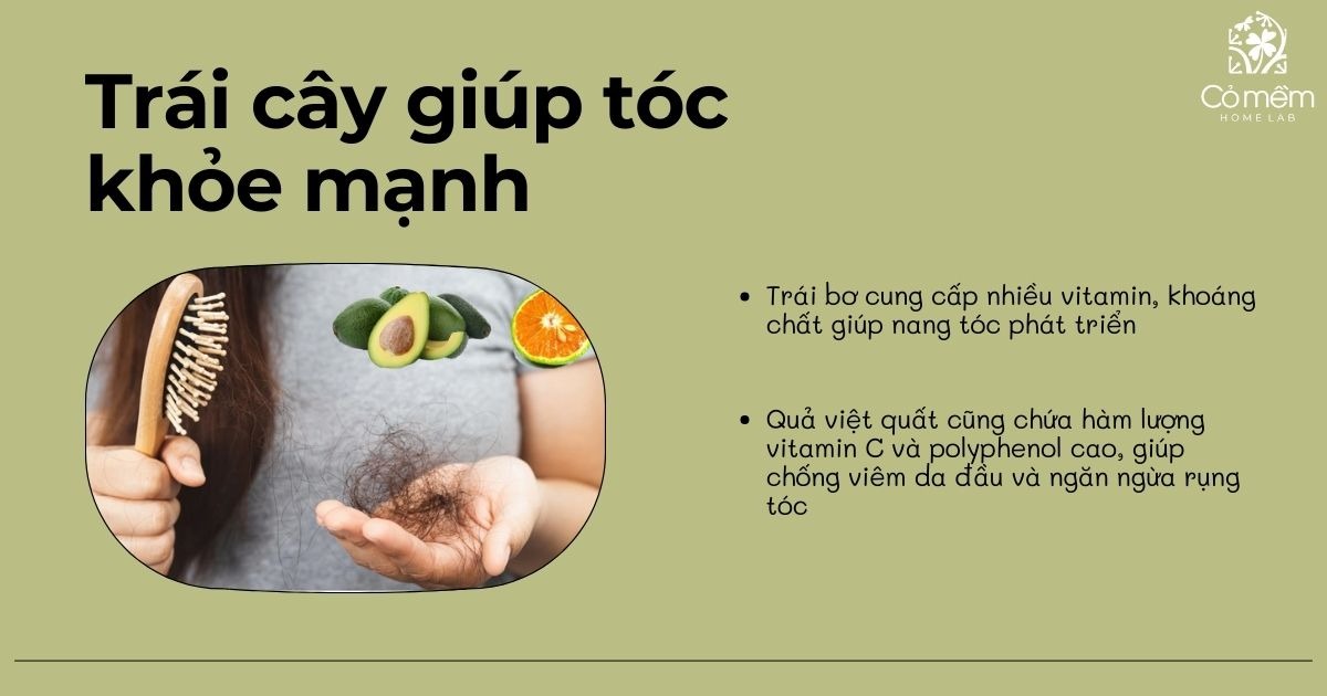 rụng tóc nên ăn gì 