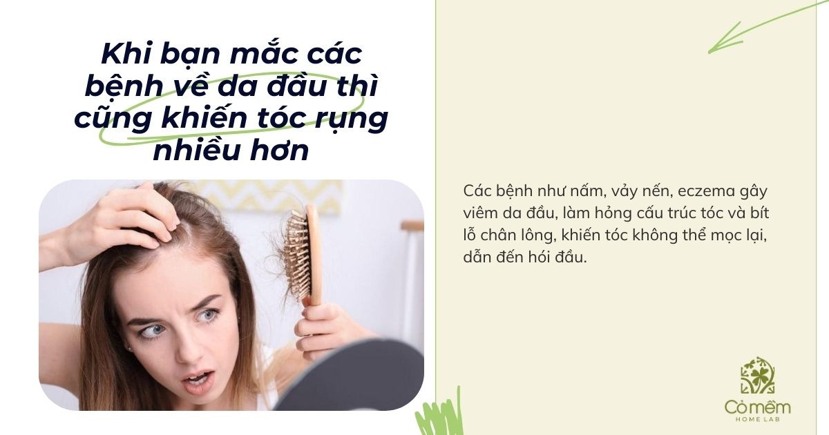 rụng tóc nên ăn gì 