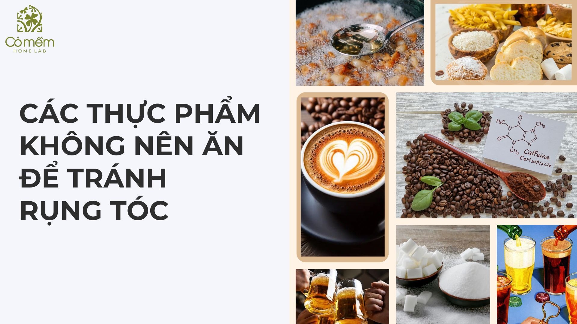 rụng tóc nên ăn gì 