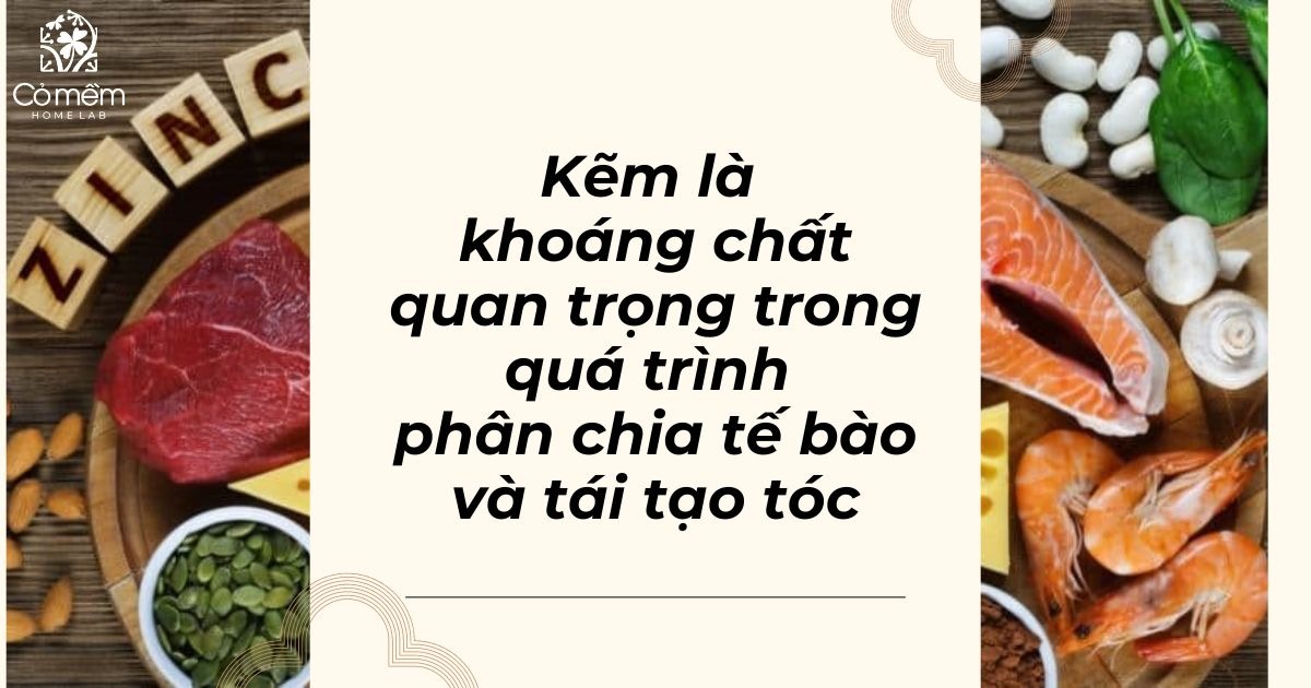 mẹ bỉm sau khi sinh cần bổ sung vitamin gì 