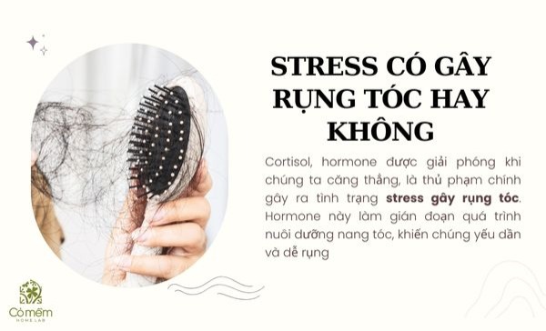 stress gây rụng tóc