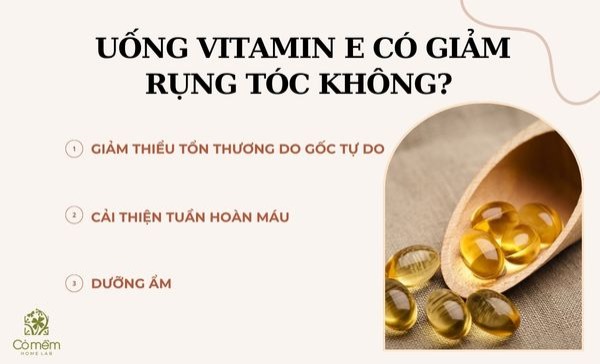 uống vitamin e có giảm rụng tóc không