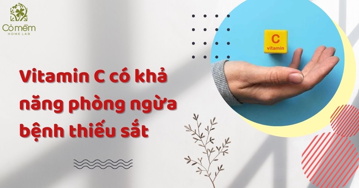 vitamin C có tác dụng gì