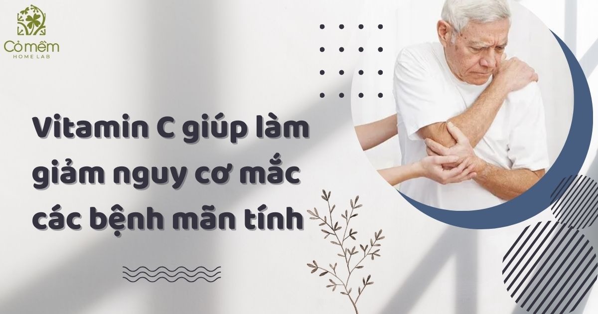 vitamin C có tác dụng gì