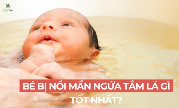 bé bị nổi mẩn ngứa tắm lá gì