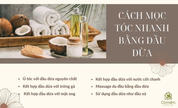 cách sử dụng dầu dừa cho tóc mọc nhanh