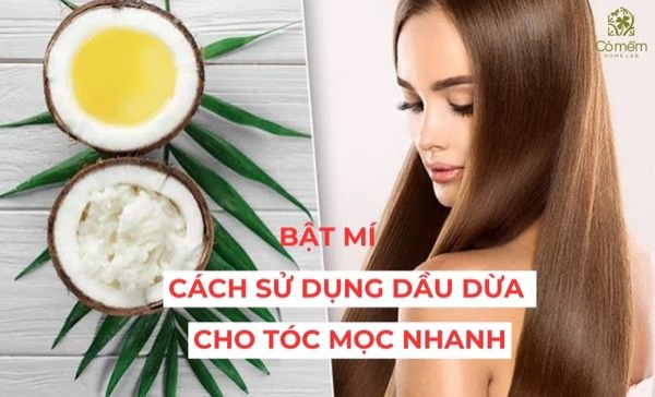 cách sử dụng dầu dừa cho tóc mọc nhanh