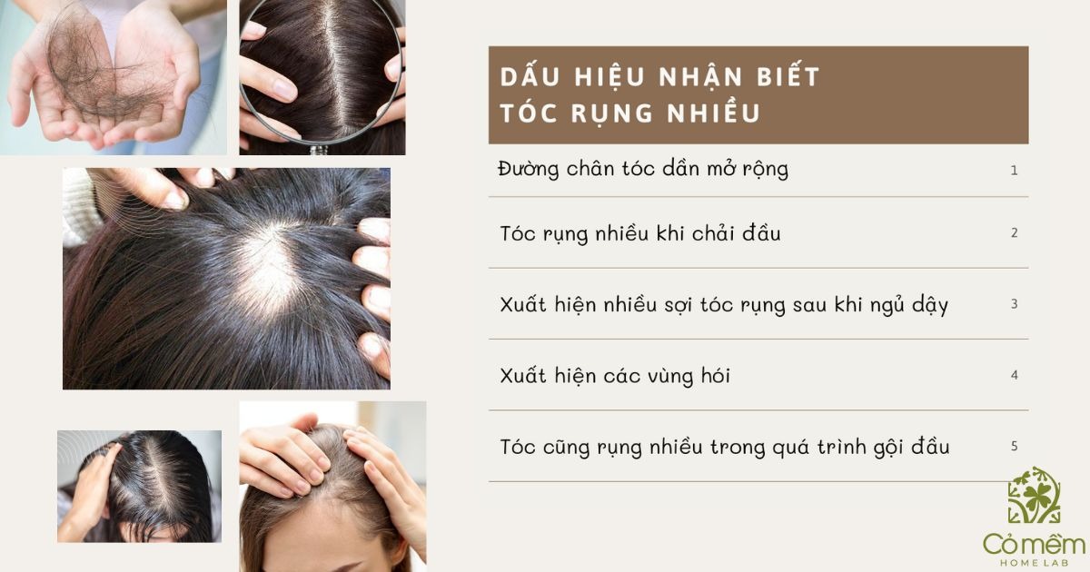 cách trị rụng tóc