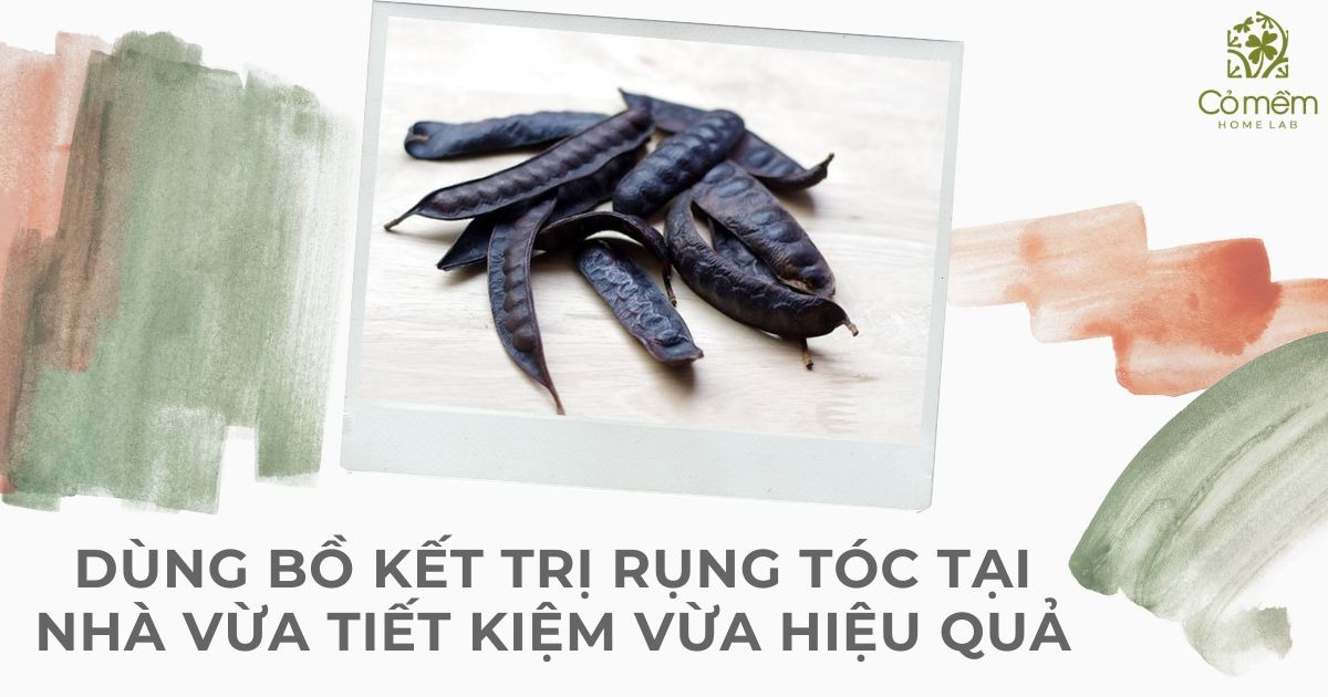 cách trị rụng tóc