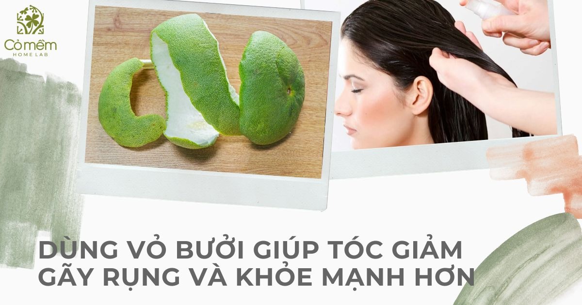 cách trị rụng tóc