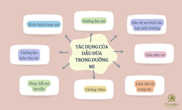 dầu dừa dưỡng mi