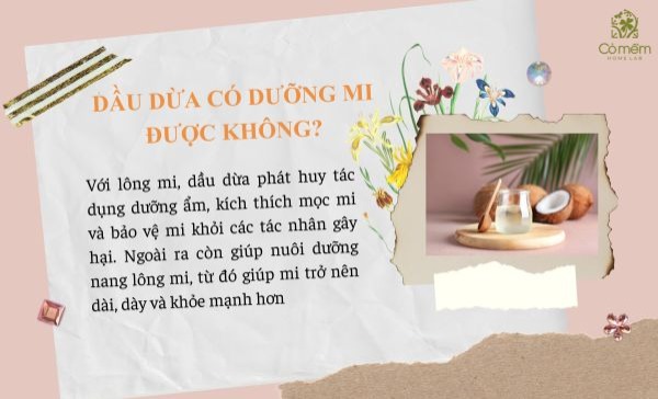 dầu dừa dưỡng mi