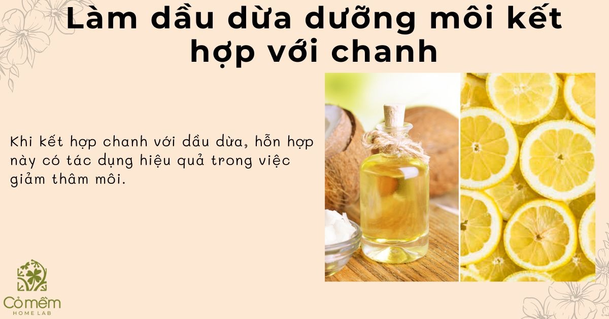 dầu dừa dưỡng môi