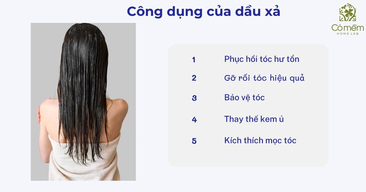 dầu xả ngăn rụng tóc 