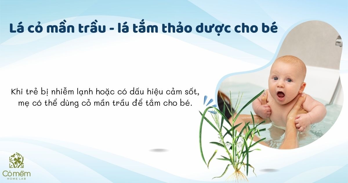 lá tắm cho bé