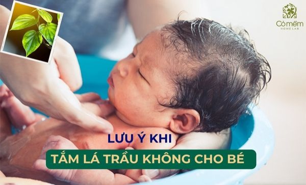 tắm lá trầu không cho bé