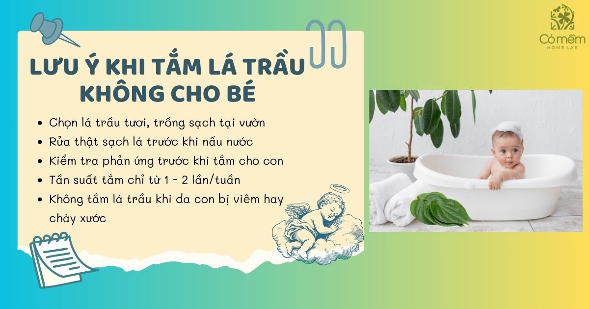 tắm lá trầu không cho bé