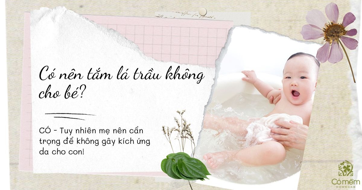 tắm là trầu không cho bé