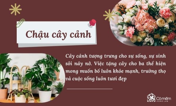 quà tặng cho bố 