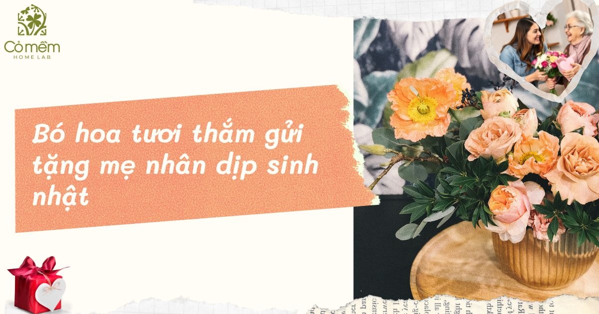 quà sinh nhật cho mẹ 