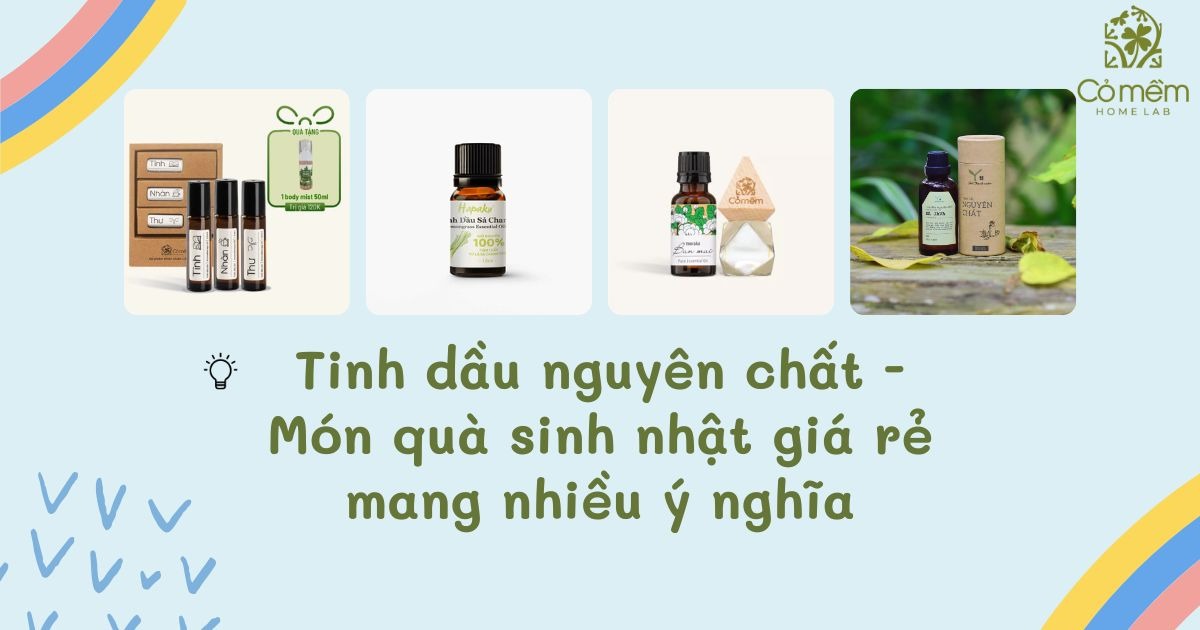 MUA SET QUÀ TƠ TẰM CỎ MỀM 