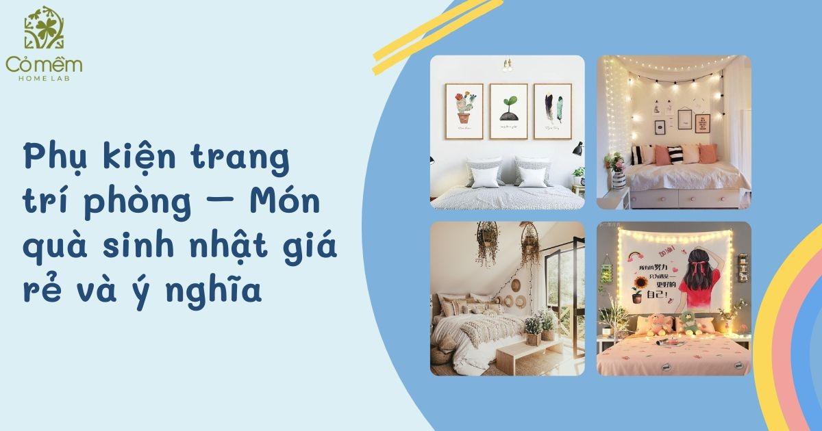 MUA SET QUÀ TƠ TẰM CỎ MỀM 