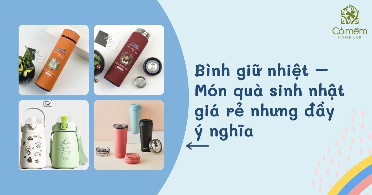 MUA SET QUÀ TƠ TẰM CỎ MỀM 