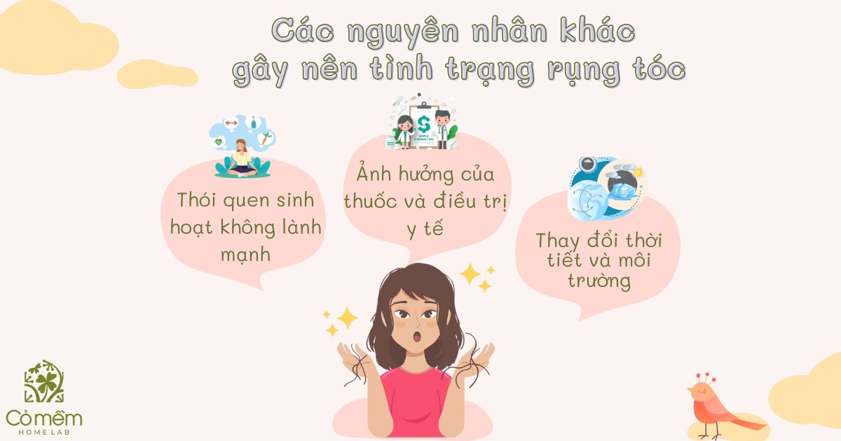 cách ngăn rụng tóc và làm dày tóc