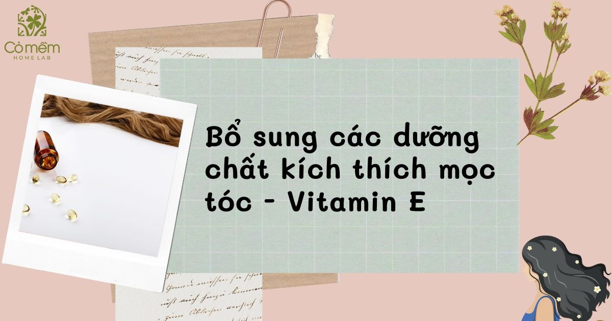 cách ngăn rụng tóc và làm dày tóc