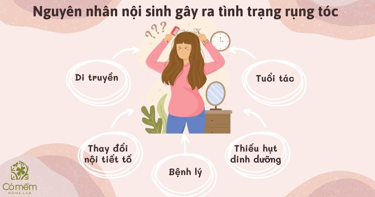 cách ngăn rụng tóc và làm dày tóc