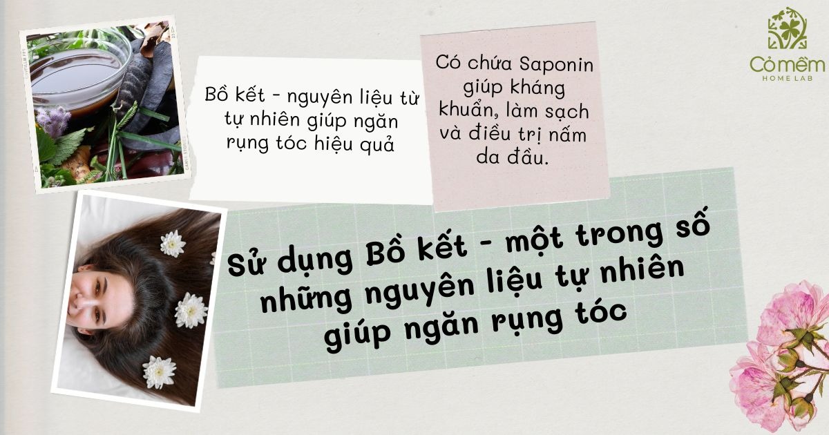 cách ngăn rụng tóc và làm dày tóc