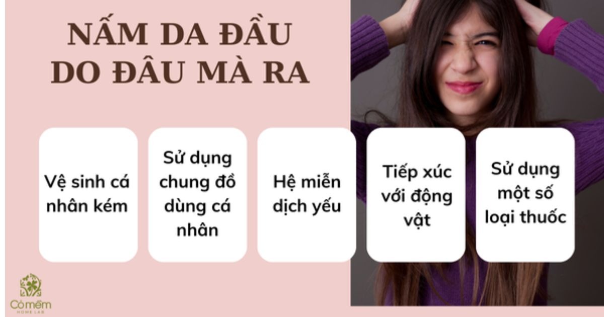 da đầu 